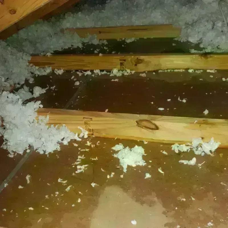 Attic Water Damage in Pataskala, OH